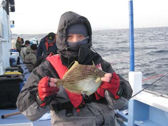 2008年釣り始めはカワハギ竿頭からスタート！