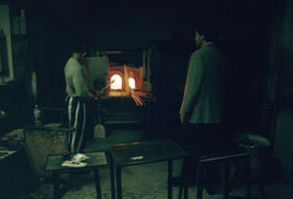 �x�l�`�A���K���X����