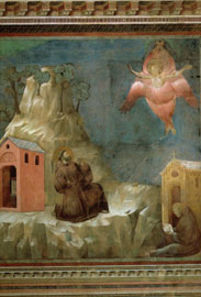 �W�I�b�g�̃t���X�R��