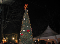 会場前クリスマスツリー