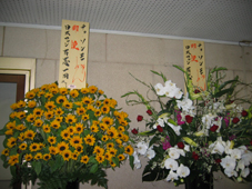 大阪花１