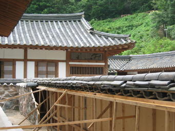 �\�E�������B�e��